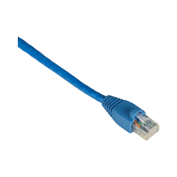 Black Box 100ft GigaTrue CAT6 Snagless Ethernet Cable (Blue) — Being Shipped