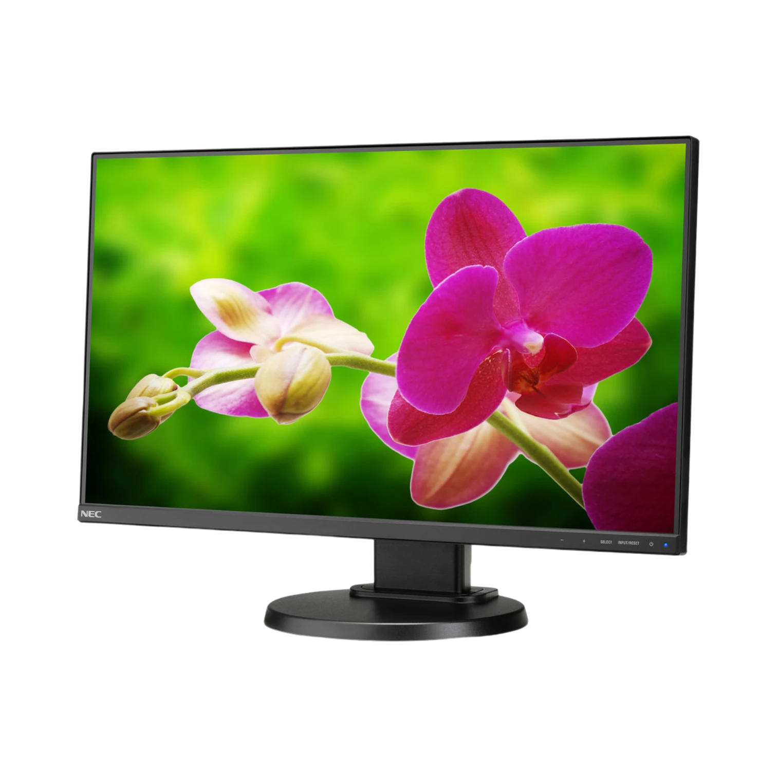 NEC E242N-BK 24" Narrow Bezel IPS Monitor with Speakers and LED Backlighting — Being Shipped