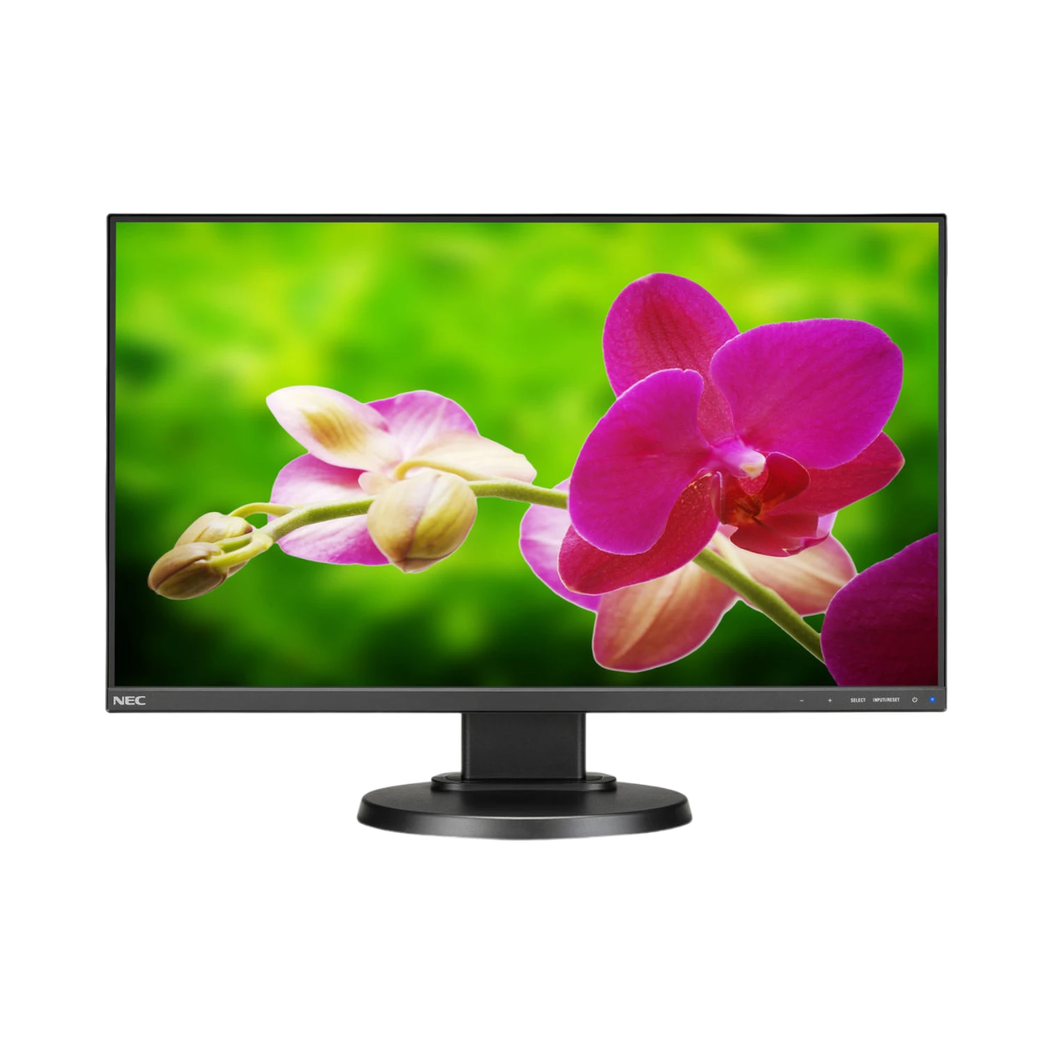 NEC E242N-BK 24" Narrow Bezel IPS Monitor with Speakers and LED Backlighting — Being Shipped