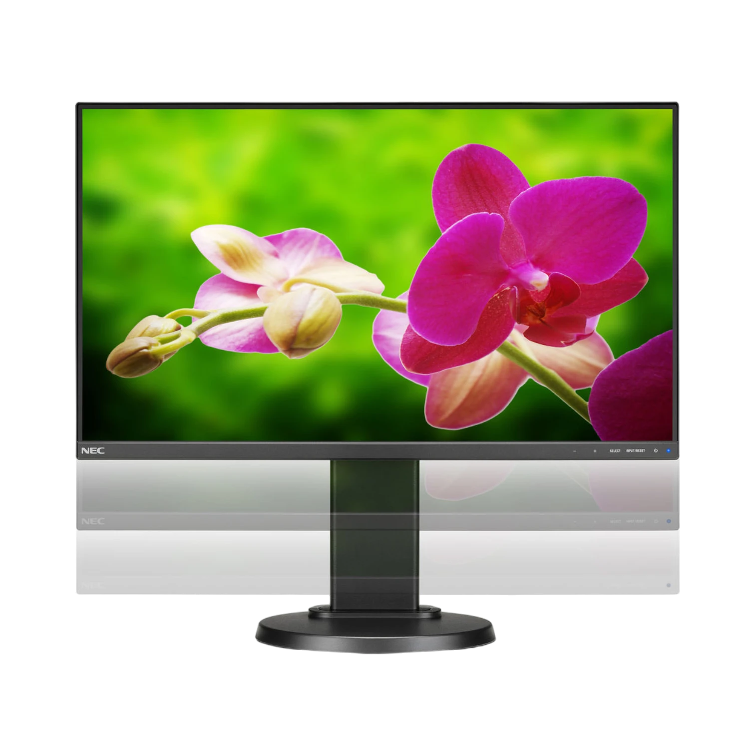 NEC E242N-BK 24" Narrow Bezel IPS Monitor with Speakers and LED Backlighting — Being Shipped