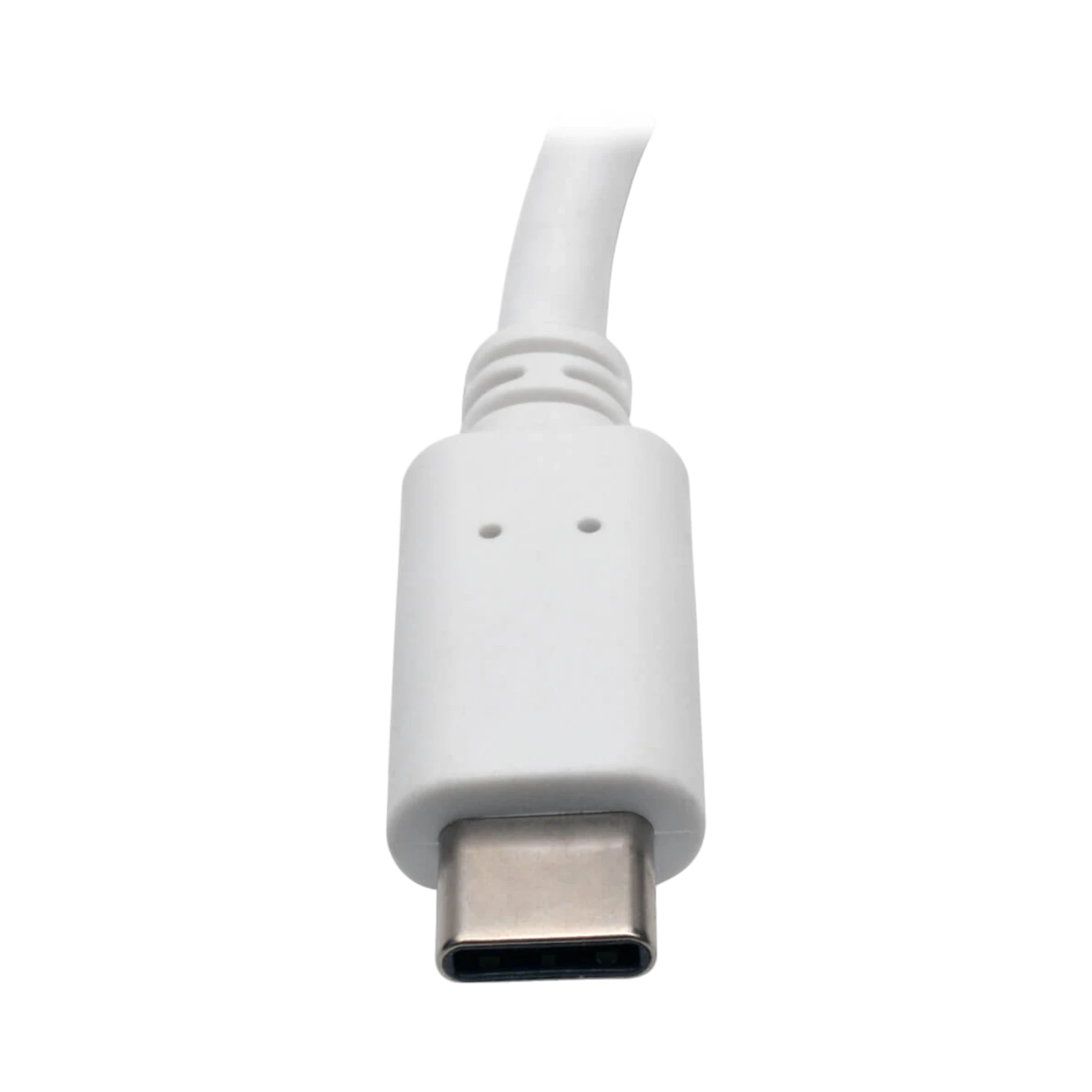 Tripp Lite USB C to DisplayPort Video Adapter Converter — Being Shipped