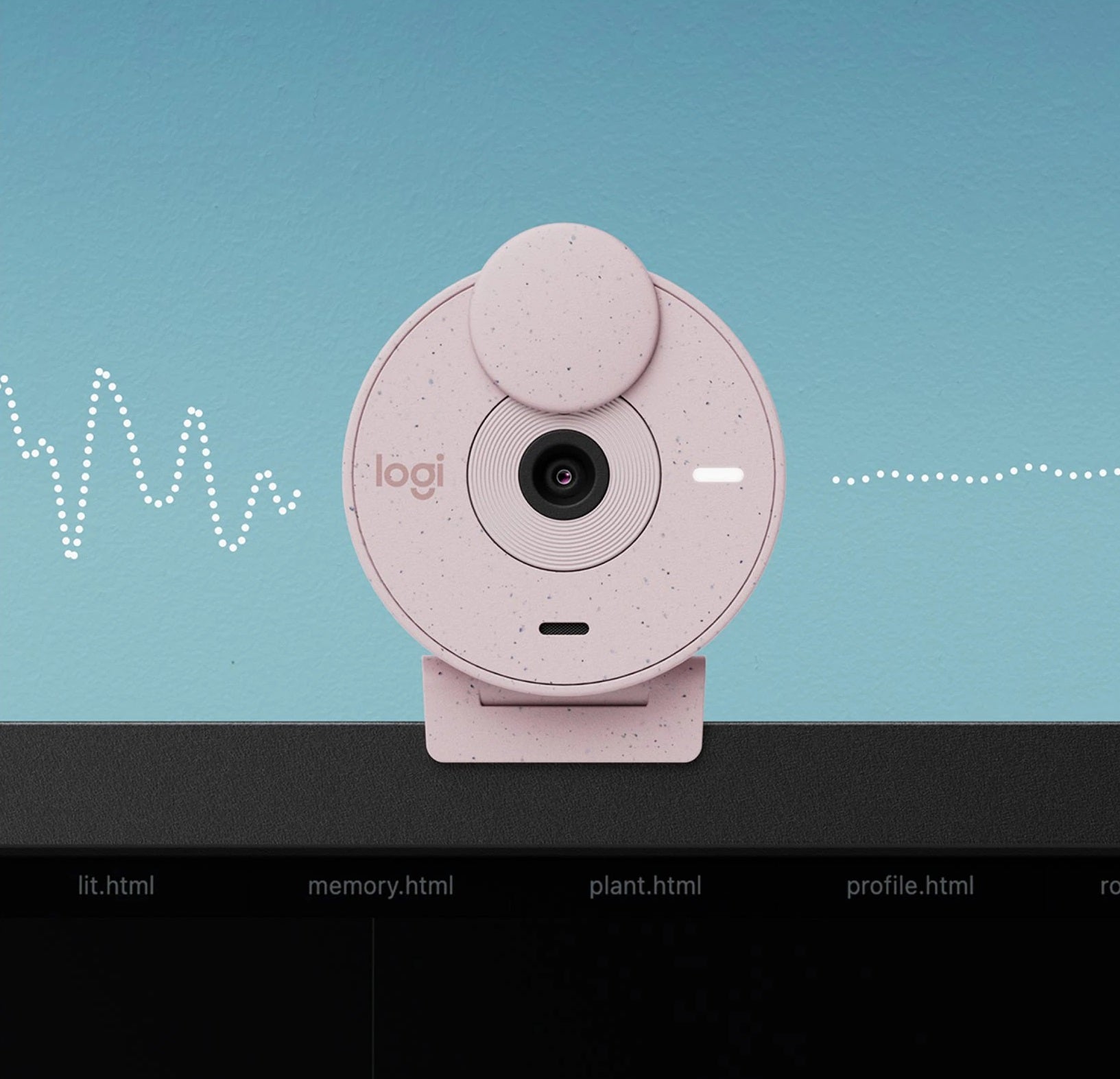 Logitech Brio 300 1080p Full HD Webcam (Rose) — Being Shipped