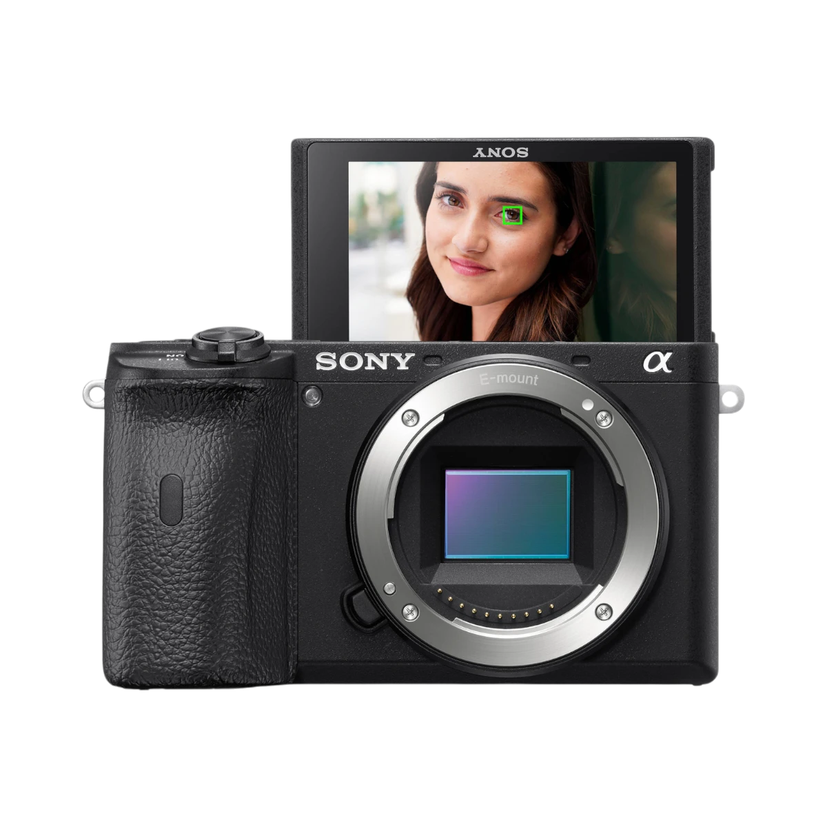 Sony a6600 Mirrorless Camera — Being Shipped