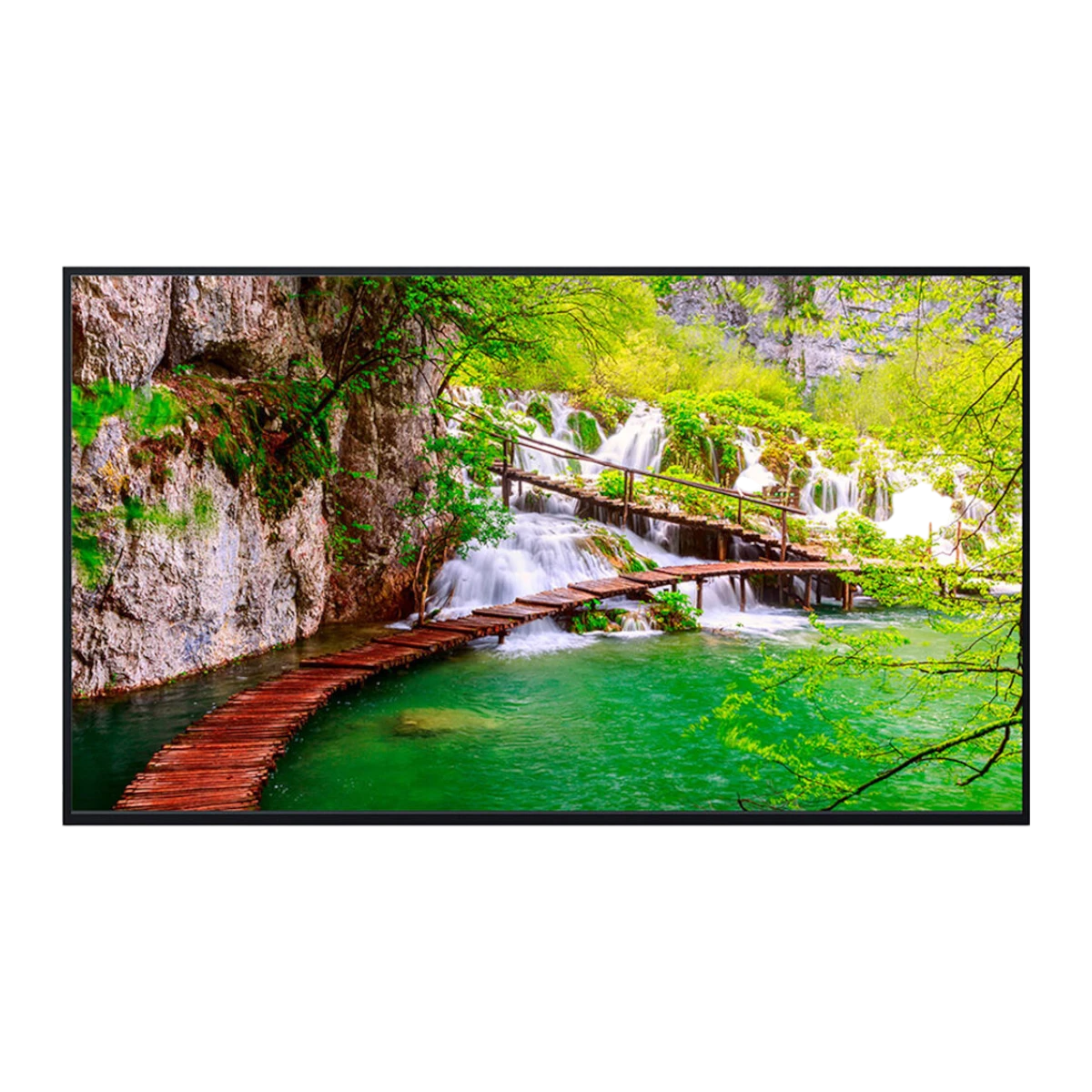 Panasonic TH-43CQE2U 43" UHD 4K Commercial Monitor — Being Shipped