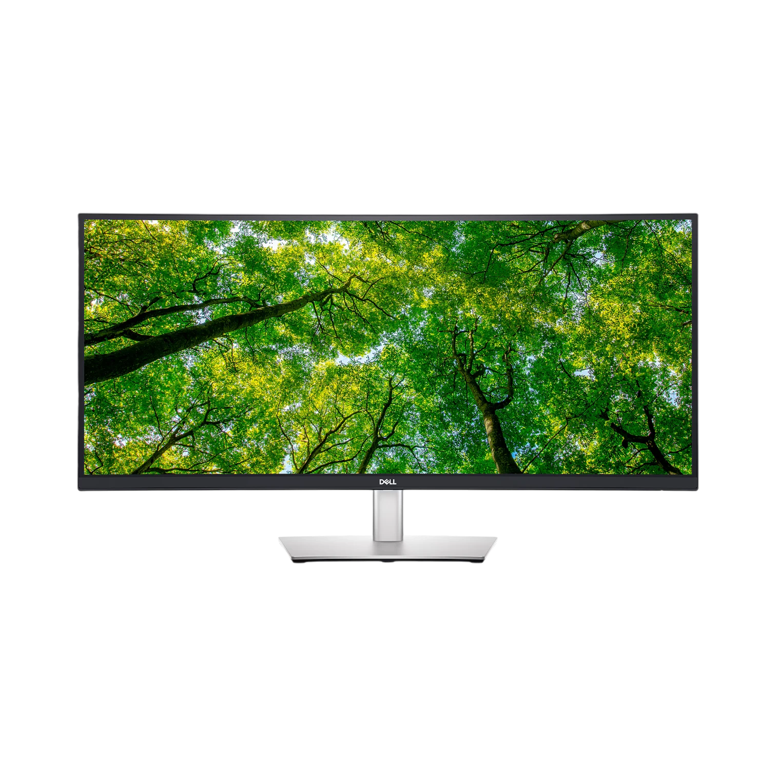 Dell P3424WE 34" 1440p Curved Ultrawide Monitor — Being Shipped