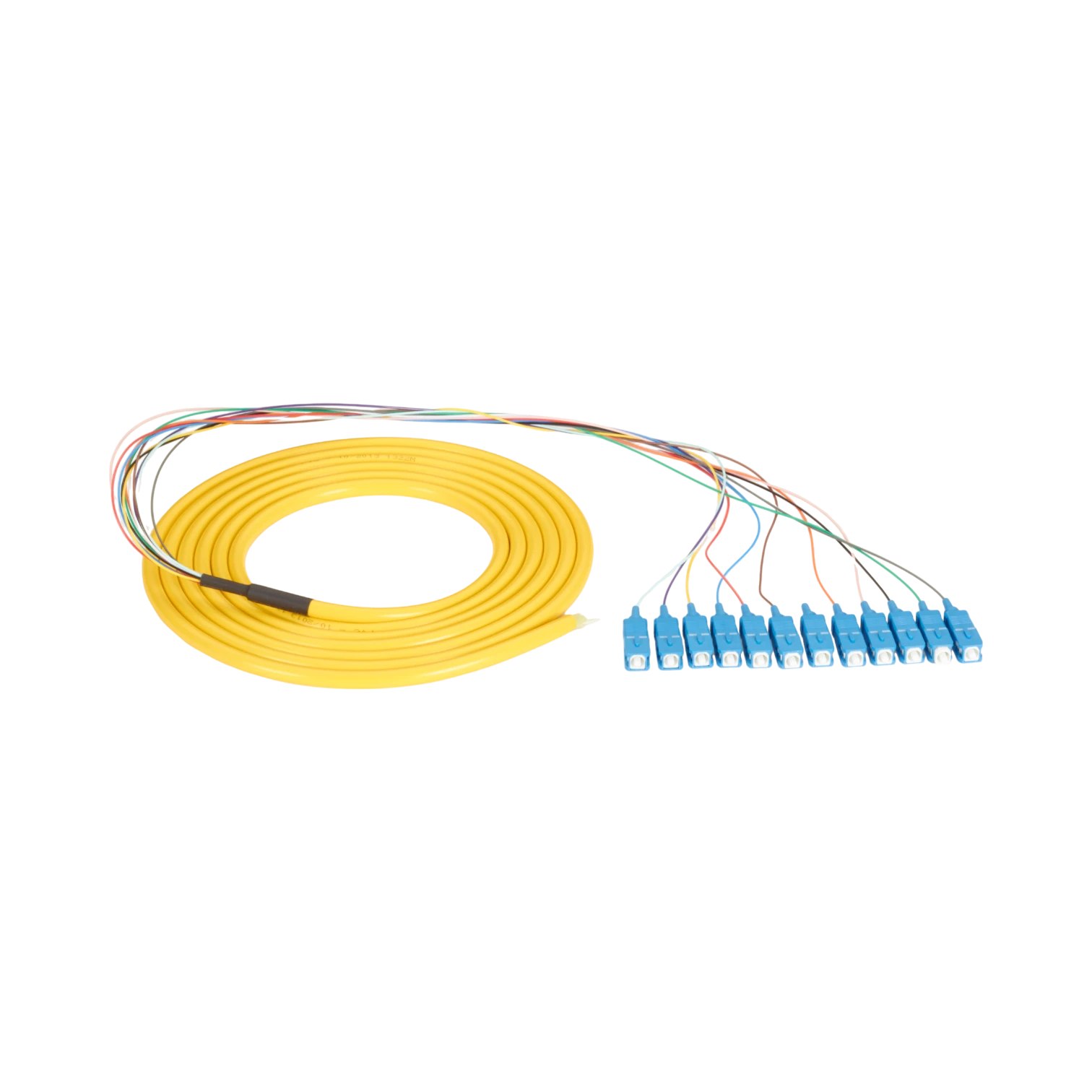 Black Box 9.6ft 12-Strand SC OS1 Singlemode Optic Pigtail Cable (Yellow) — Being Shipped