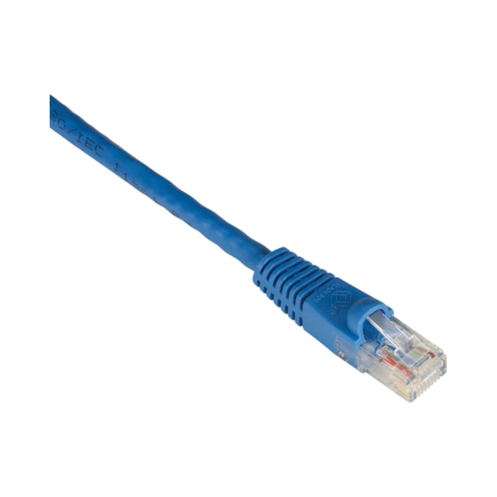 Black Box 5ft Cat6 550MHz Snagless Ethernet Patch Cable (Blue) — Being Shipped