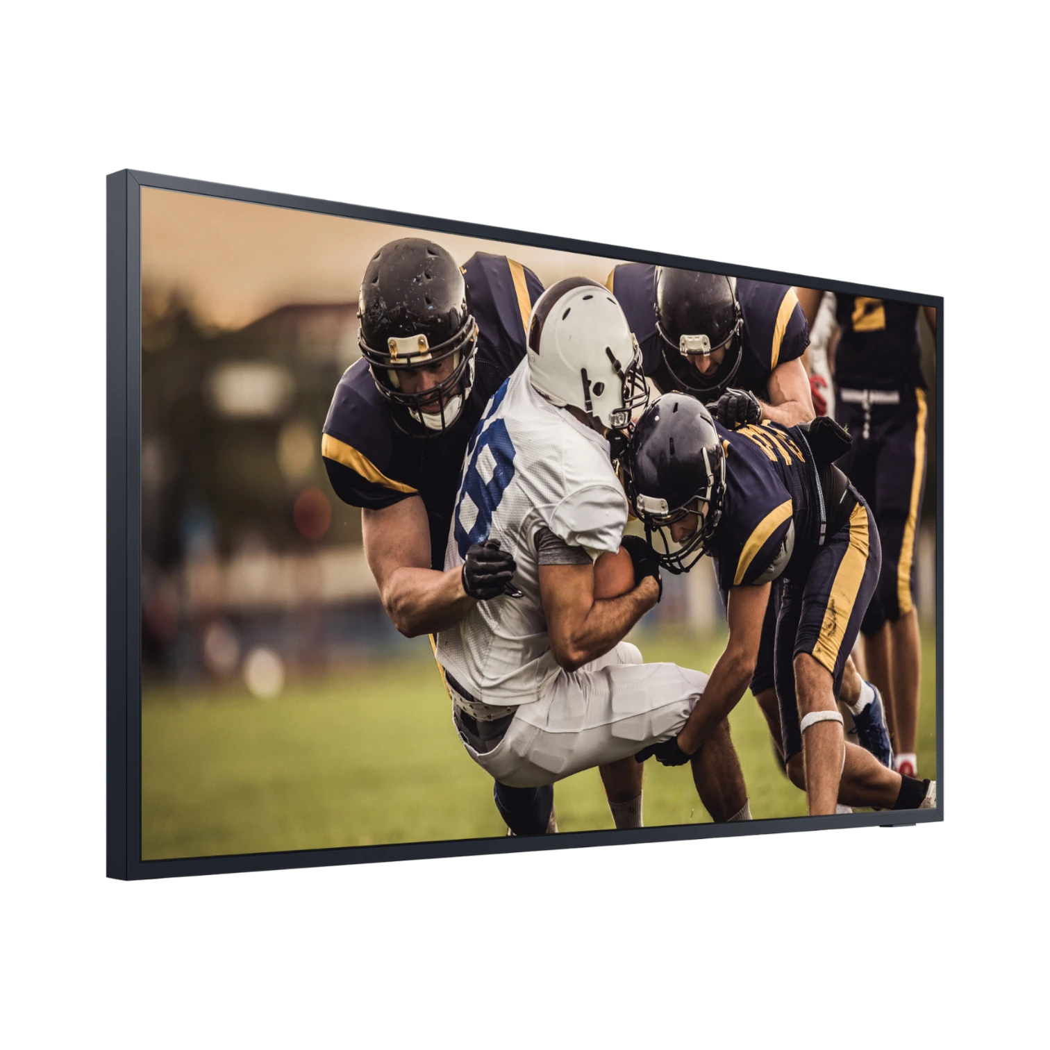 Samsung 65" BHT Terrace Edition 4K QLED Outdoor TV — Being Shipped