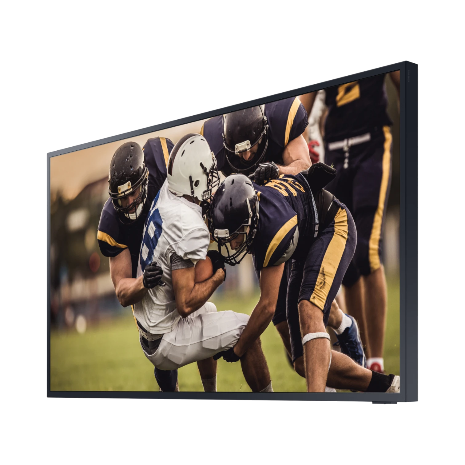 Samsung 65" BHT Terrace Edition 4K QLED Outdoor TV — Being Shipped