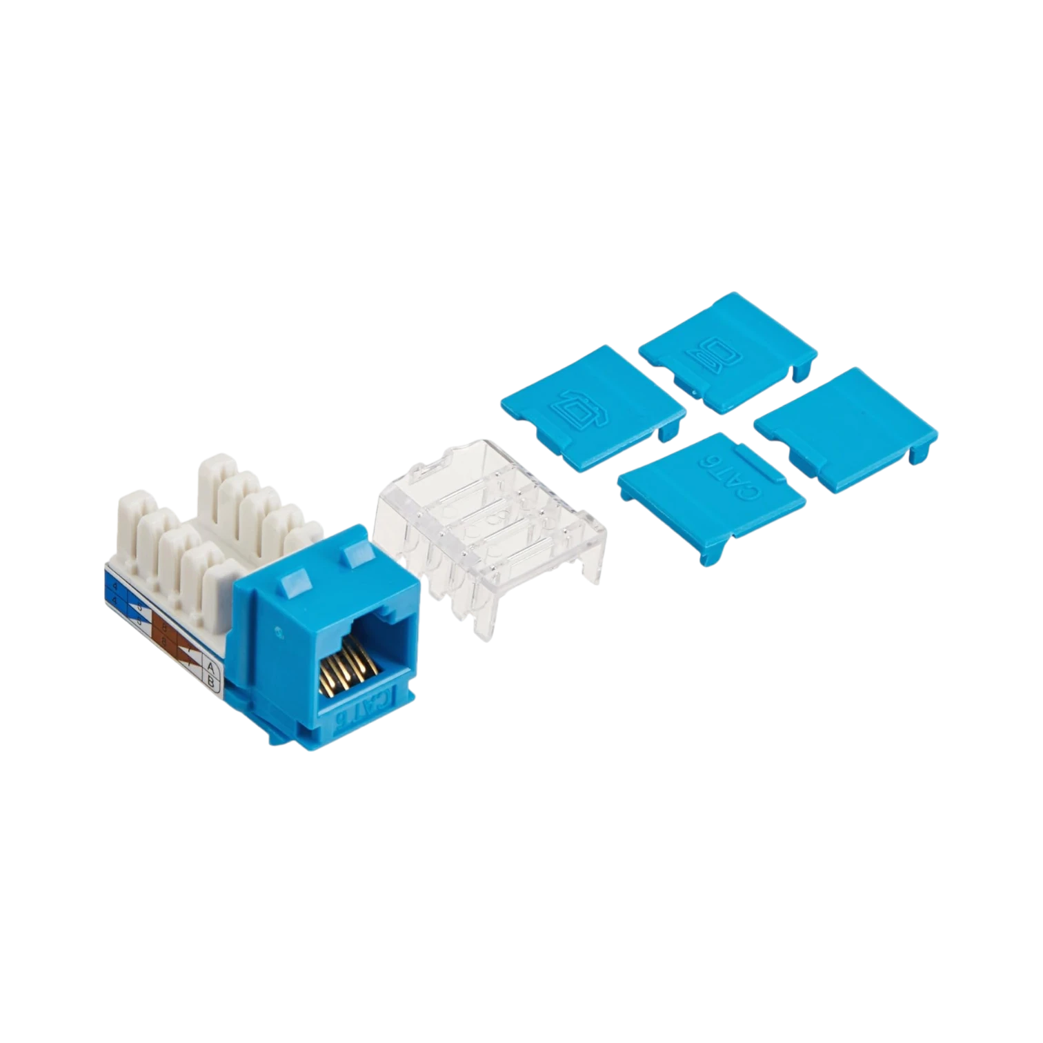 C2G Cat6 RJ45 UTP Keystone Jack, Blue — Being Shipped