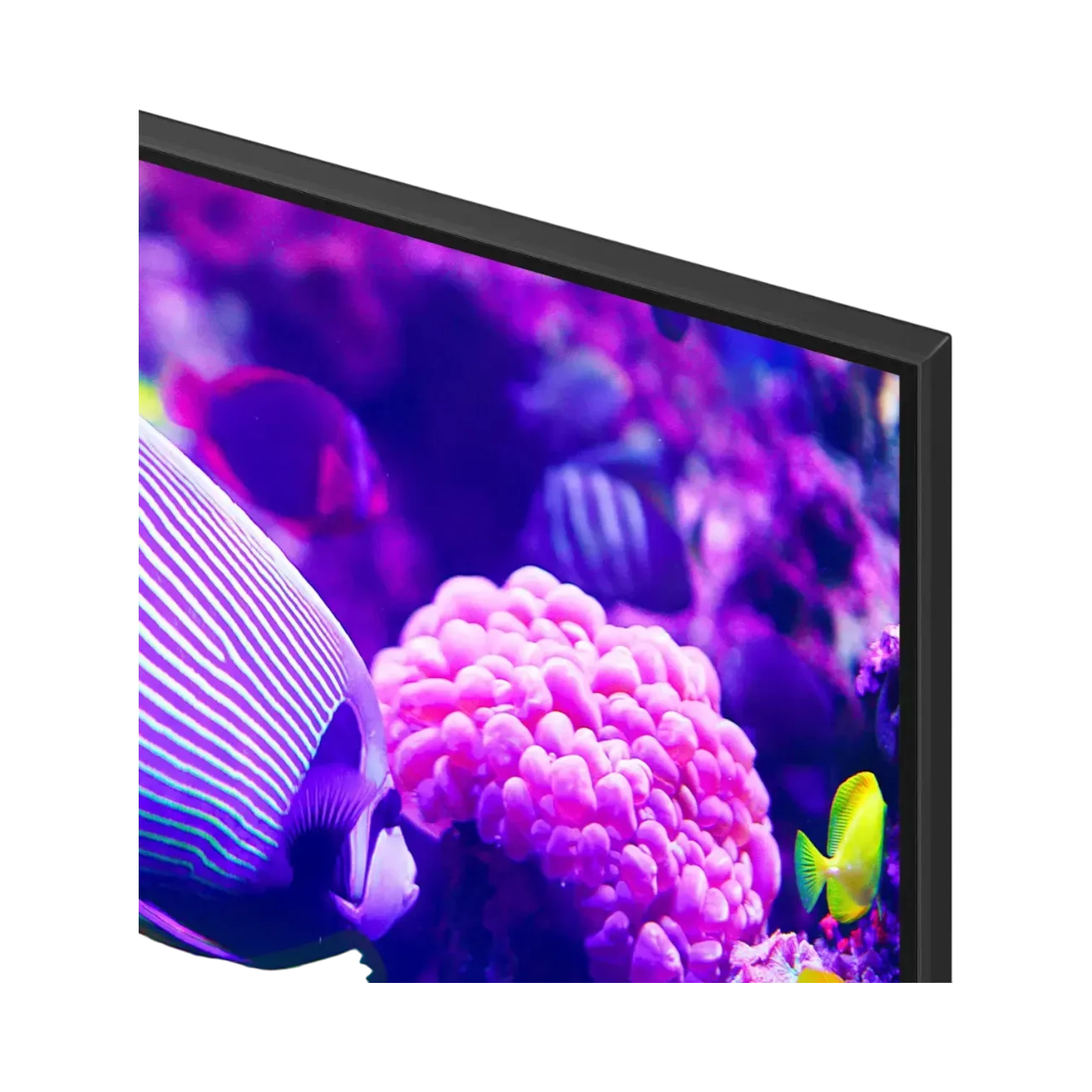 Samsung DU7200 55" 60Hz 4K HDR LED Smart TV — Being Shipped