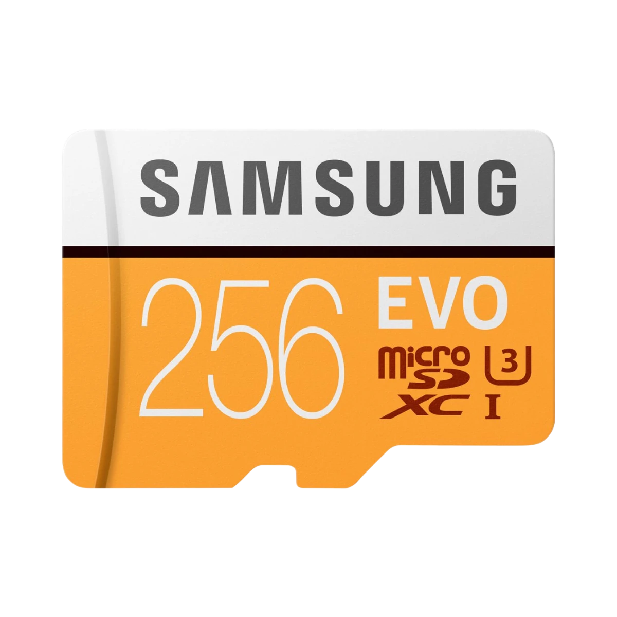 Samsung 256GB EVO UHS-I microSDXC Memory Card with SD Adapter — Being Shipped