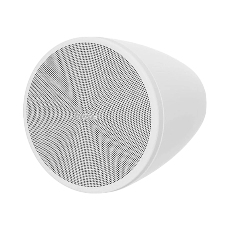 Bose Professional DesignMax DM3P Pendant Loudspeaker (Pair, White) — Being Shipped