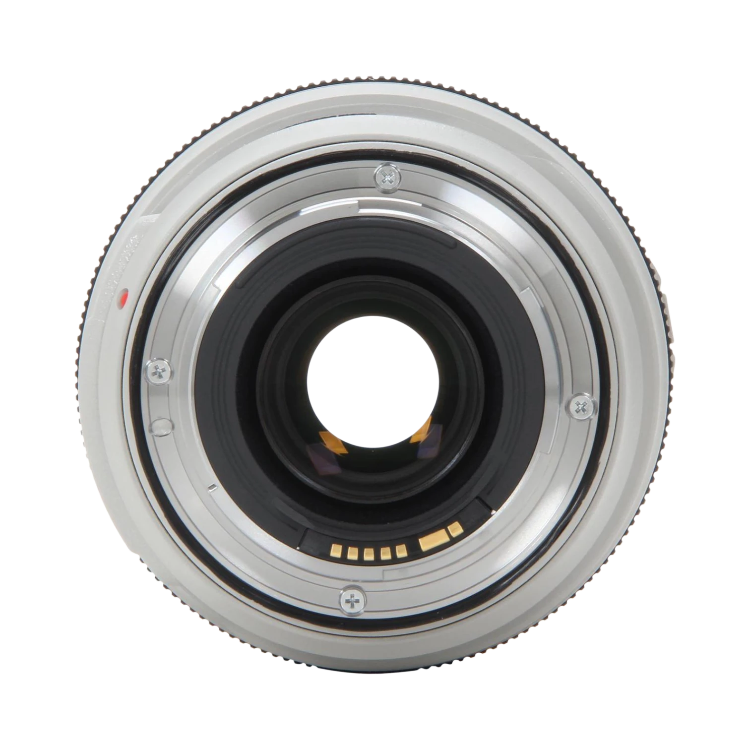 Canon EF 70-300mm f/4-5.6L IS USM Lens — Being Shipped