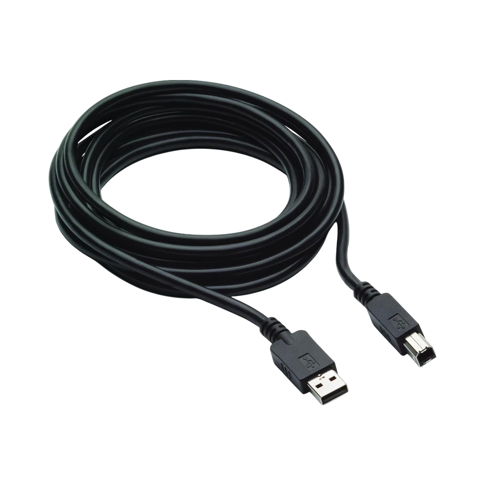 HP 300cm DP & USB-B to USB-A Cable — Being Shipped