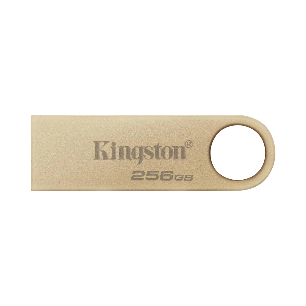 Kingston DataTraveler SE9 G3 256GB USB 3.2 Flash Drive